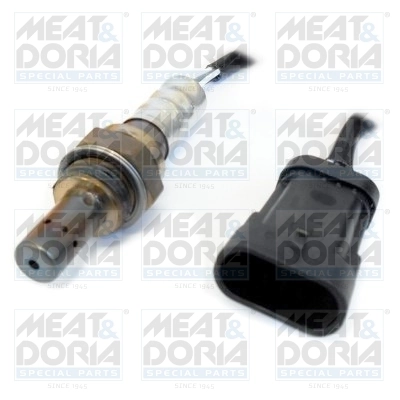 Oxygen Sensor